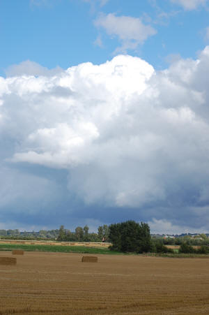 The Norfolk Fens