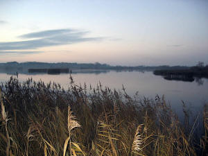 Rockland Broad