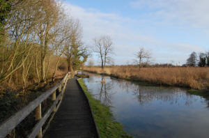 Wheatfen Nature Reserve
